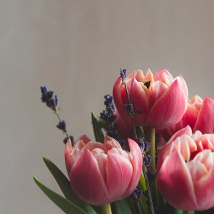 Mothers Day | Tulip and Lavender Jar